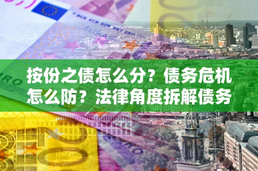武汉按份之债怎么分？债务危机怎么防？法律角度拆解债务分配与风险自保指南
