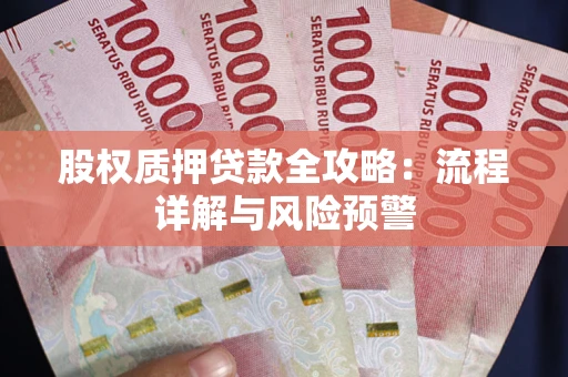 武汉股权质押贷款全攻略：流程详解与风险预警