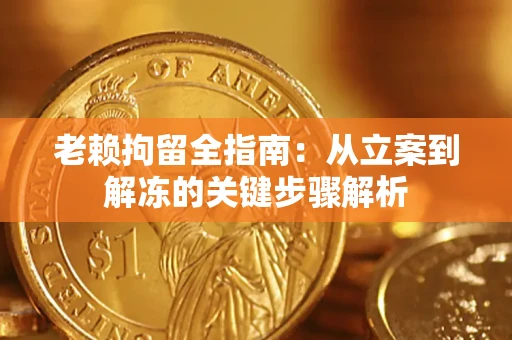 武汉老赖拘留全指南：从立案到解冻的关键步骤解析