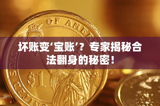 武汉坏账变‘宝账’？专家揭秘合法翻身的秘密！