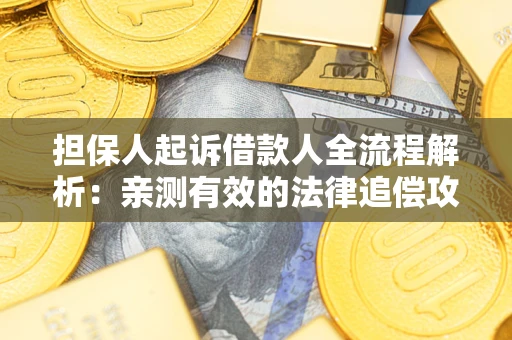 武汉担保人起诉借款人全流程解析：亲测有效的法律追偿攻略