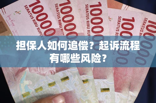 武汉担保人如何追偿？起诉流程有哪些风险？
