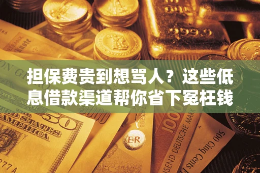 武汉担保费贵到想骂人？这些低息借款渠道帮你省下冤枉钱