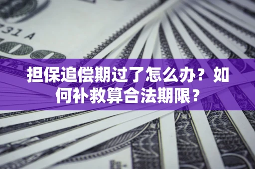 武汉担保追偿期过了怎么办？如何补救算合法期限？