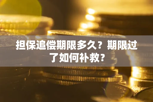 武汉担保追偿期限多久？期限过了如何补救？