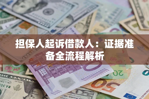 武汉担保人起诉借款人：证据准备全流程解析