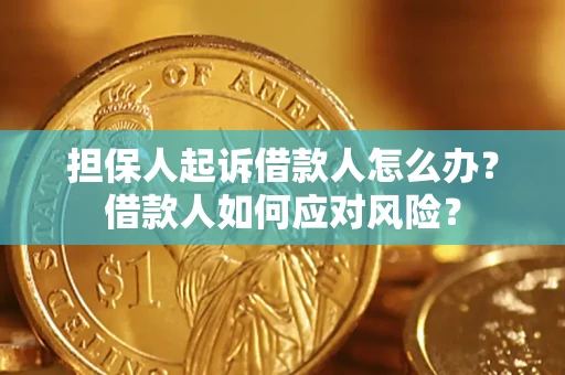 武汉担保人起诉借款人怎么办？借款人如何应对风险？