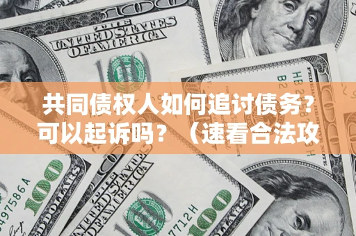 武汉共同债权人如何追讨债务？可以起诉吗？（速看合法攻略）