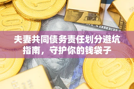 武汉夫妻共同债务责任划分避坑指南，守护你的钱袋子