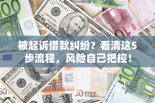 武汉被起诉借款纠纷？看清这5步流程，风险自己把控！