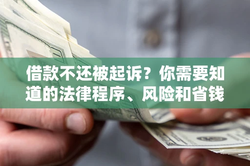 武汉借款不还被起诉？你需要知道的法律程序、风险和省钱技巧