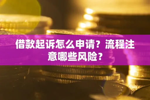 武汉借款起诉怎么申请？流程注意哪些风险？